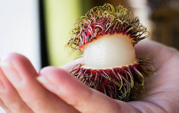 Litchi Fruit Le Guide Complet Saison Origine Bienfaits A A