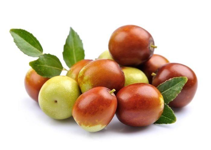 jujube-tout-savoir-en-2-minutes-sur-ce-fruit-originaire-de-chine