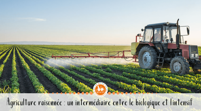 Agriculture Raisonnée : Un équilibre Entre Productivité Et Environnement